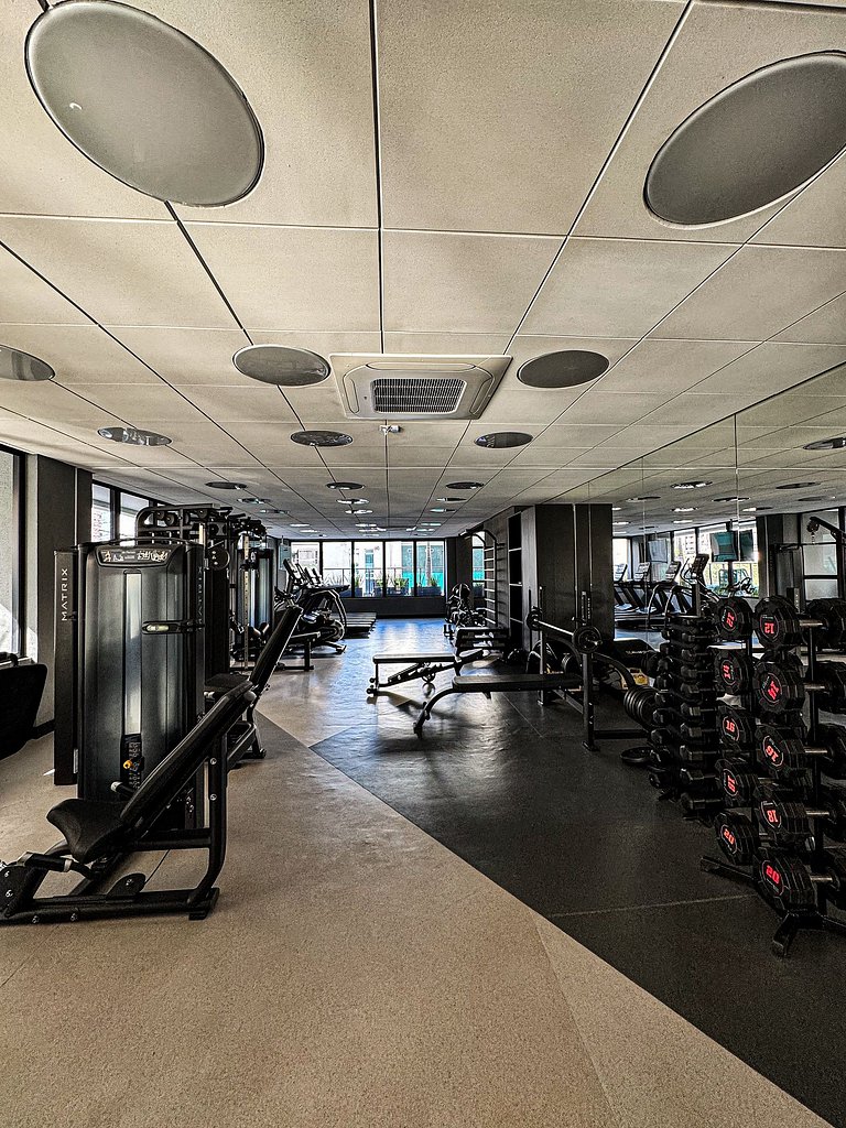 #1905# Flat lançamento -Gyro Vaca Brava